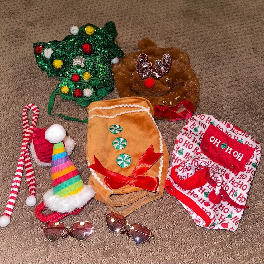Small pet Christmas clothes